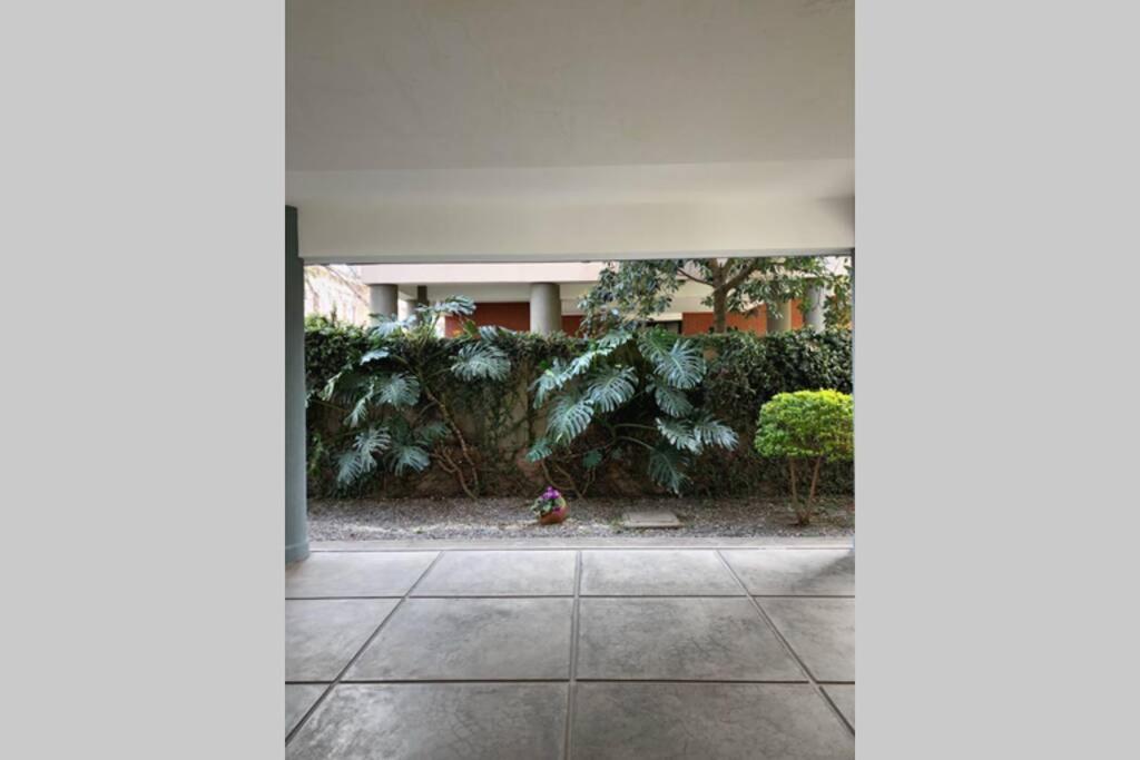 산살바도르 드 쥬쥬이 Departamento Centrico A Metros De Plaza Belgrano 아파트 외부 사진