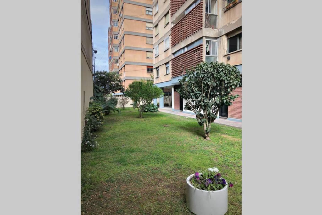 산살바도르 드 쥬쥬이 Departamento Centrico A Metros De Plaza Belgrano 아파트 외부 사진