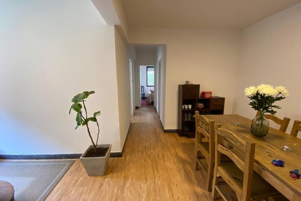 산살바도르 드 쥬쥬이 Departamento Centrico A Metros De Plaza Belgrano 아파트 외부 사진